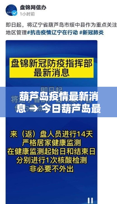 葫芦岛疫情最新消息 → 今日葫芦岛最新疫情
