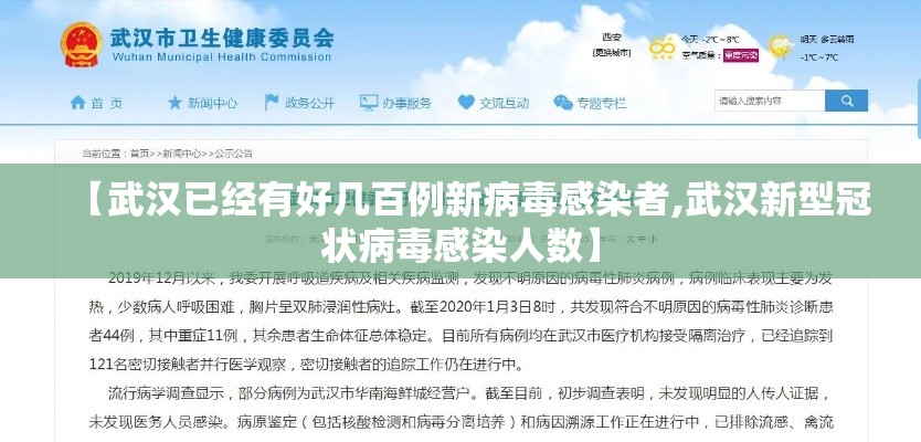 【武汉已经有好几百例新病毒感染者,武汉新型冠状病毒感染人数】